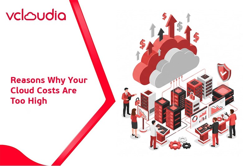 Reasons for sudden spikes in Cloud costs and how businesses can control them effectively