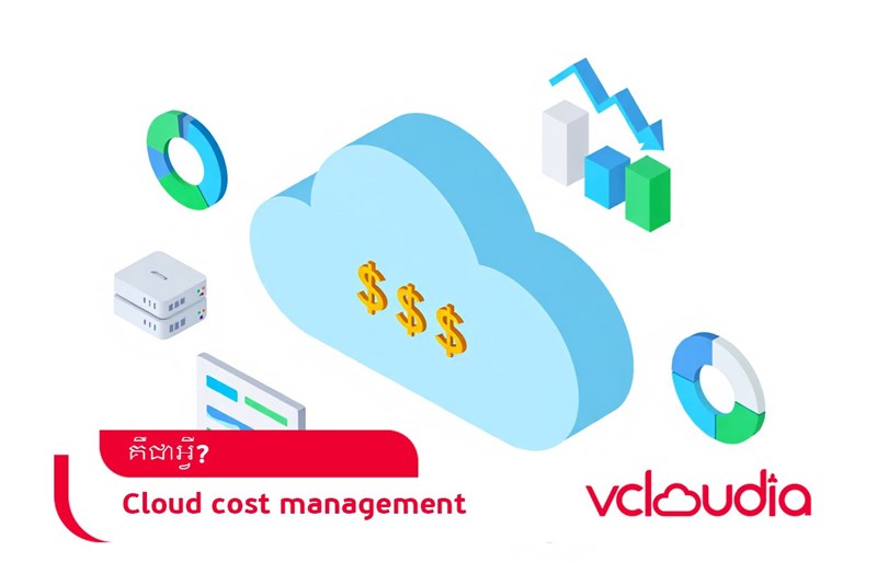 Cloud Cost Management គឺជាអ្វី?